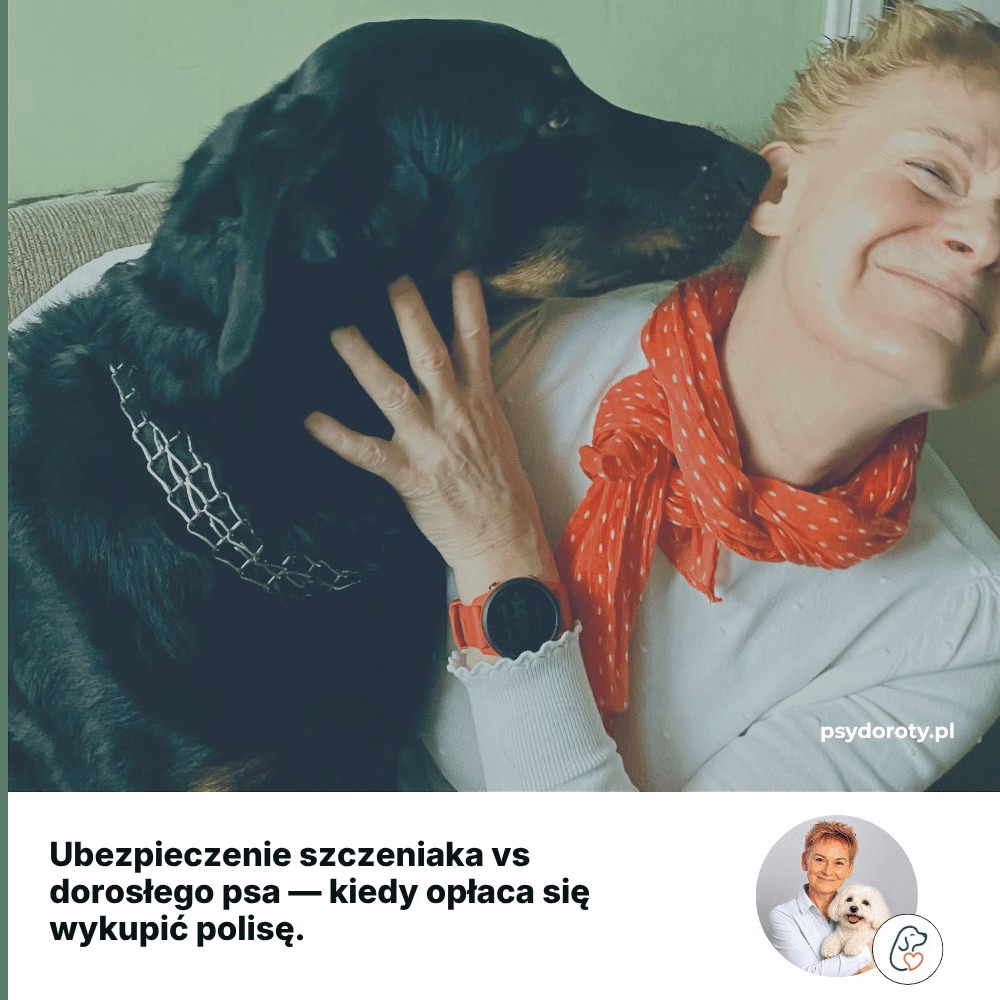 Ubezpieczenie szczeniaka vs dorosłego psa — kiedy opłaca się wykupić polisę