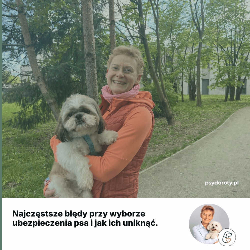 Najczęstsze błędy przy wyborze ubezpieczenia psa i jak ich uniknąć