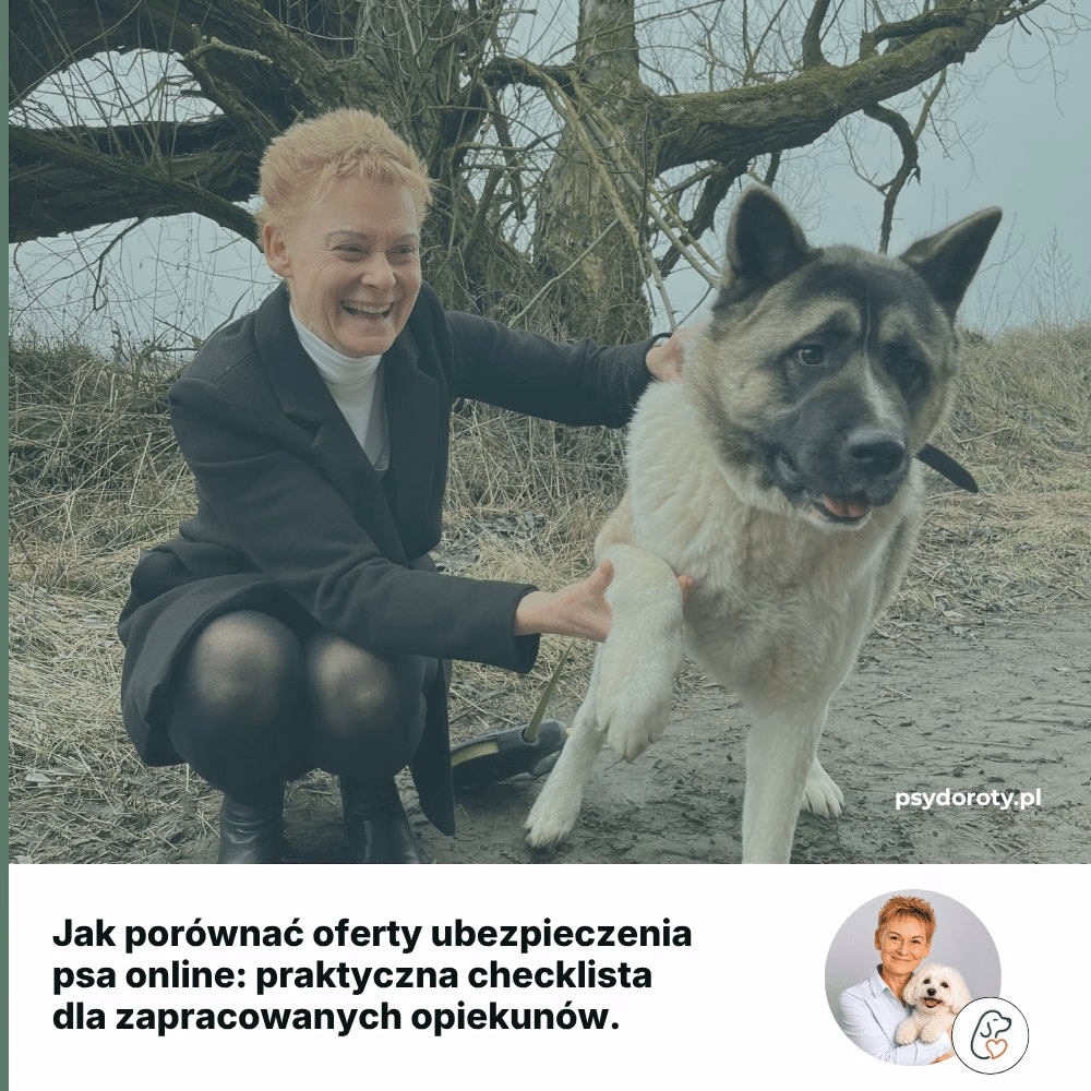 Jak porównać oferty ubezpieczenia psa online: praktyczna checklista dla zapracowanych opiekunów
