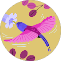 Lily Hdz