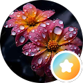 MUTHU .M