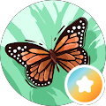 Sara Gerrett